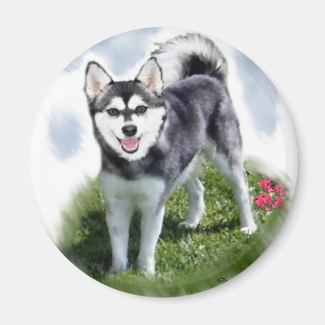 Alaska Klee Kai Art Magnet (Framsidan)