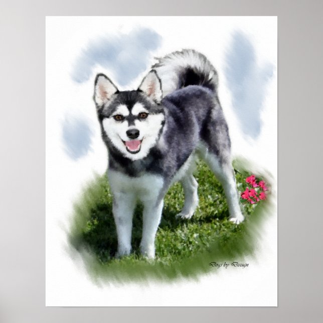 Alaska Klee Kai Art Poster (Framsidan)