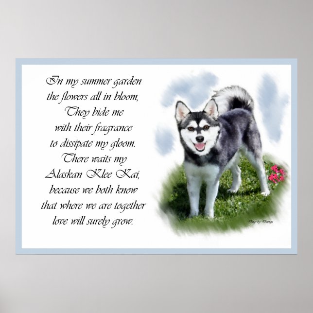 Alaska Klee Kai Art Poster (Framsidan)