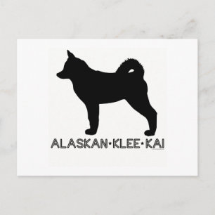 Alaska Klee Kai vykort