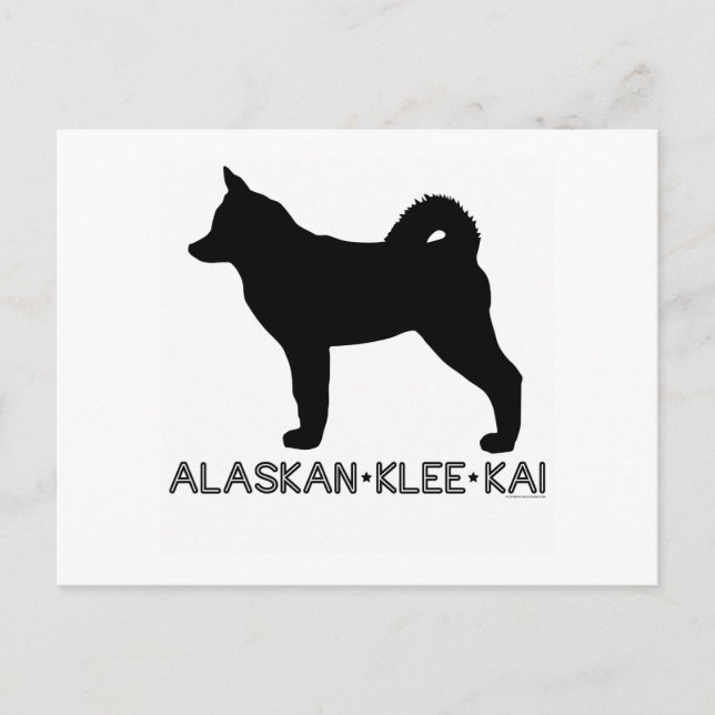 Alaska Klee Kai vykort (Framsida)