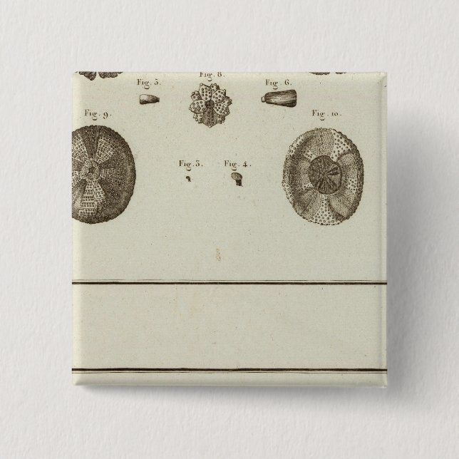 Alaska Knapp (Framsida)