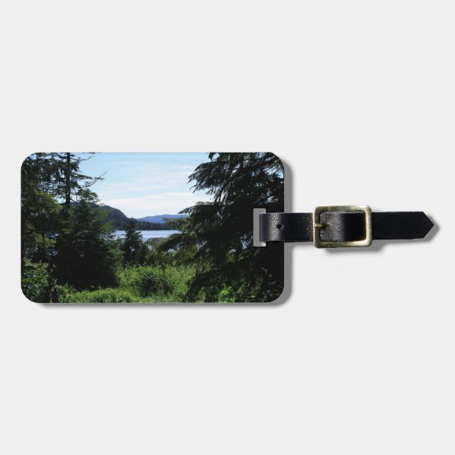 Alaska Landcape BeSnyval Alaska-foto Bagagebricka (Horisontell Framsida)