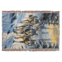 Alaska Ligcape Vild Varg Pack Winter Scene