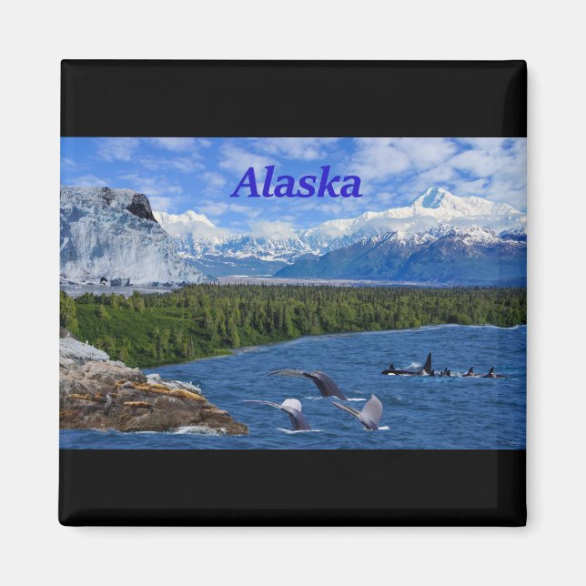 Alaska Magnet (Framsidan)