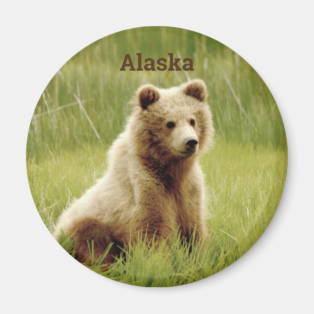Alaska Magnet w/ grizzly björn unge (Framsidan)
