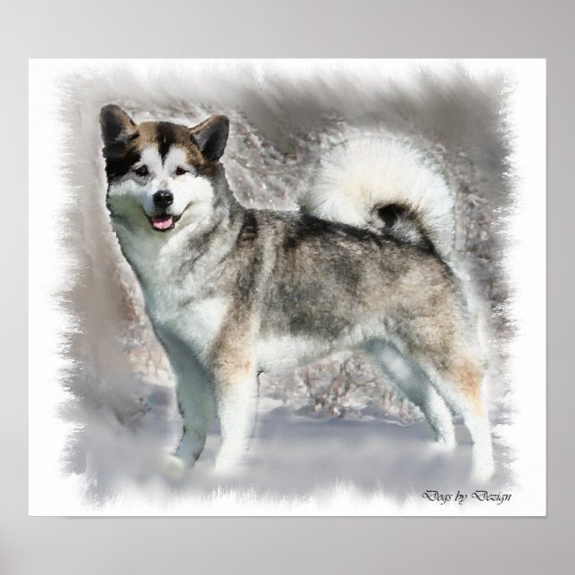 Alaska Malamute Art-utskrifter Poster (Framsidan)