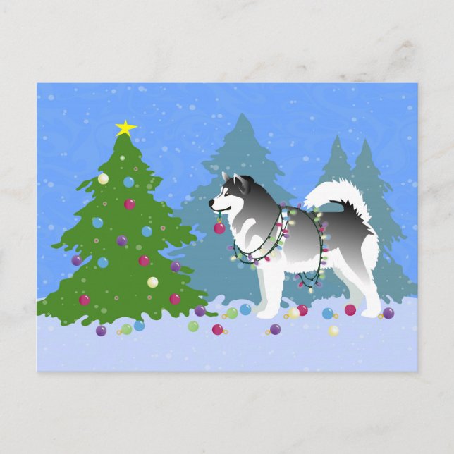 Alaska Malamute Decoration Julgran Helg Vykort (Framsida)