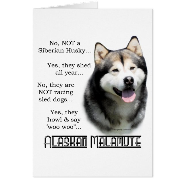 Alaska Malamute FAQ Hälsningskort (Framsidan)