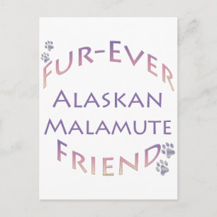 Alaska Malamute Furever Vykort