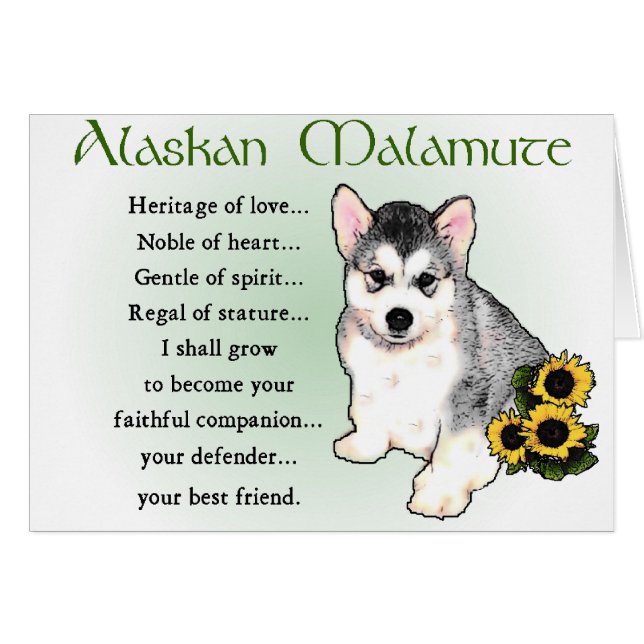 Alaska Malamute Gifts Hälsningskort (Framsidan Horizontal)