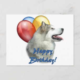 Alaska Malamute Grattis på födelsedagen Balloons Vykort