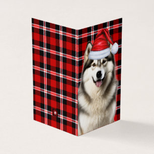 Alaska Malamute Helgdag Pput-julkort Kort