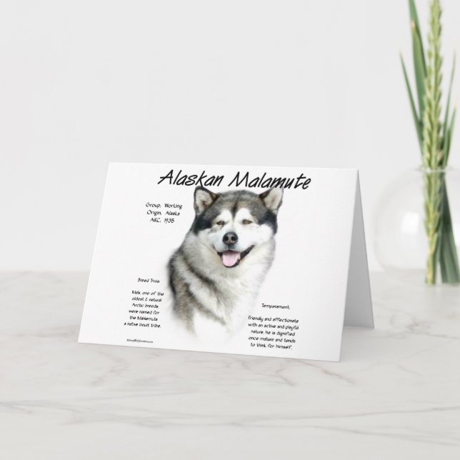 Alaska Malamute History, allt om Malamutes Helgkort (Framsida)