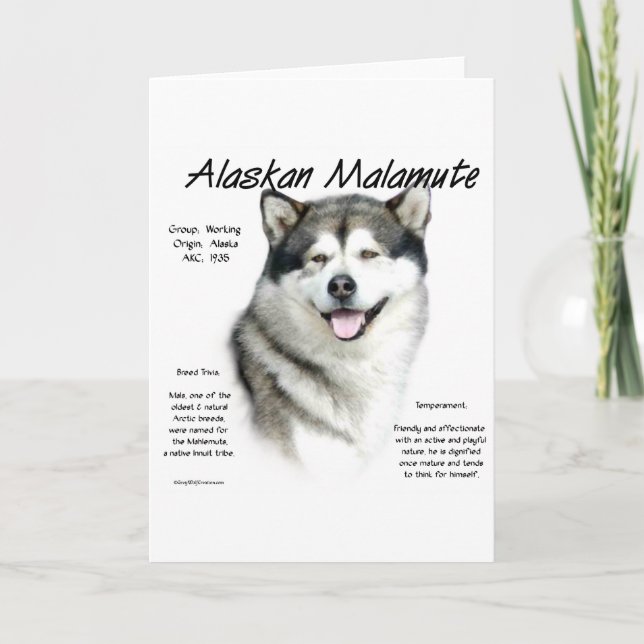 Alaska Malamute History, allt om Malamutes Helgkort (Framsida)