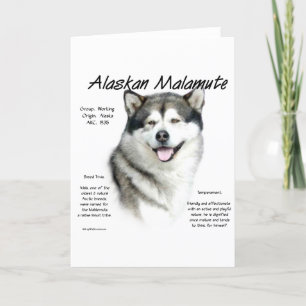 Alaska Malamute History, allt om Malamutes Helgkort