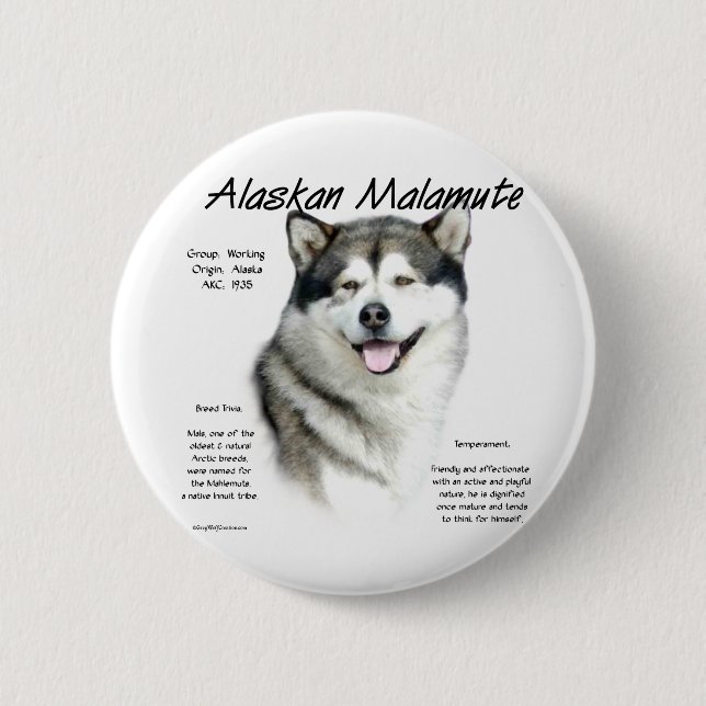 Alaska Malamute History, allt om Malamutes Knapp (Framsida)