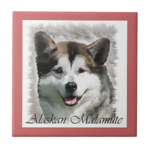 Alaska Malamute Hund Art Kakelplatta