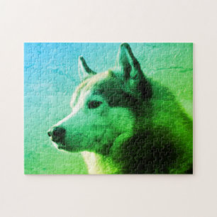 Alaska Malamute Hund Fotografi  Grönt Blue Pussel