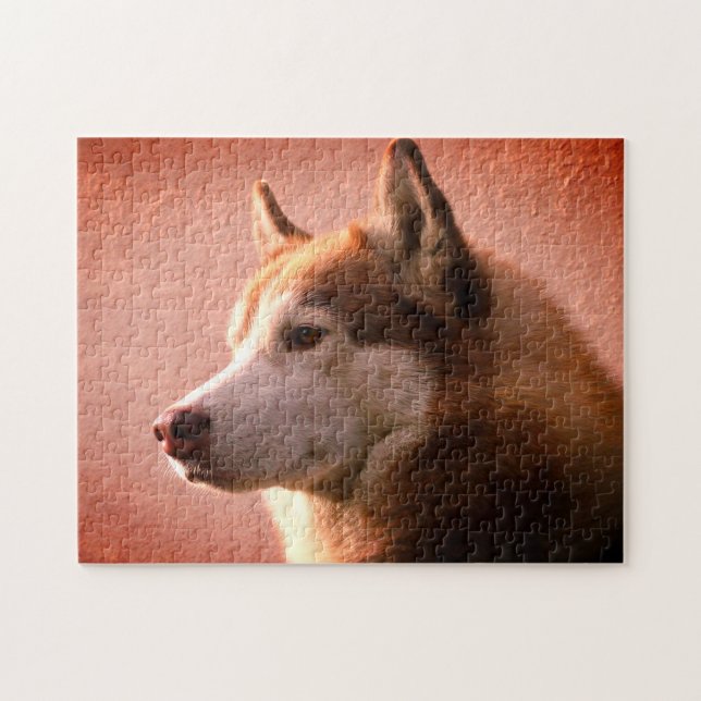 Alaska Malamute Hund Fotografi| Rött Pussel (Horisontell)