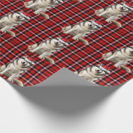 Alaska Malamute Hund och Helgdag Play-jul Presentpapper