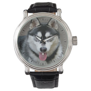 Alaska Malamute Hund Photograph Armbandsur