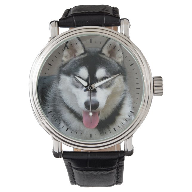 Alaska Malamute Hund Photograph Armbandsur (Framsida)