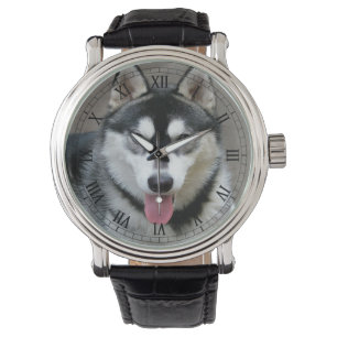 Alaska Malamute Hund Photograph Armbandsur