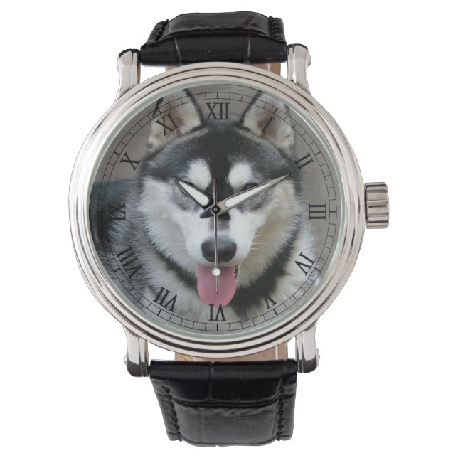Alaska Malamute Hund Photograph Armbandsur (Framsida)