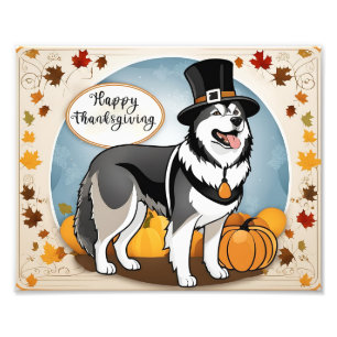 Alaska Malamute Hund Pilgrim Happy thanksgiving Fototryck