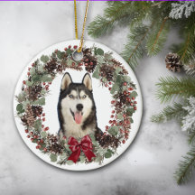 Alaska Malamute Hund Red Bow Pinecone Wandeans