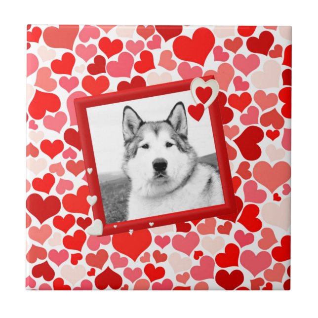 Alaska Malamute Hund Valentiness Heart Kakelplatta (Framsidan)