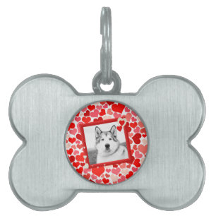 Alaska Malamute Hund Valentiness Heart Namnbricka Husdjur