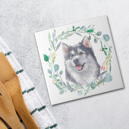Alaska Malamute Hund Watercolor Wandefrand Kakelplatta
