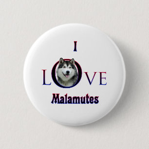 Alaska Malamute I Kärlek Knapp