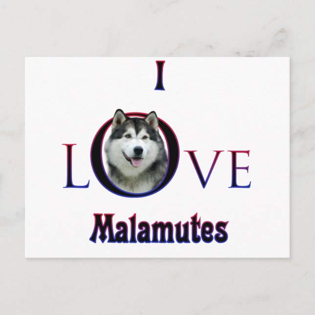 Alaska Malamute I Kärlek Vykort (Framsida)