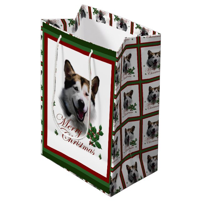 Alaska Malamute jul (Framsidan Vinklad)