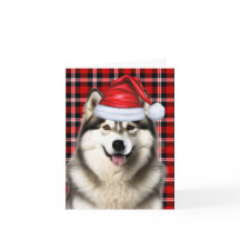 Alaska Malamute jul-Helgdag Play