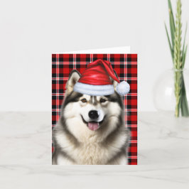 Alaska Malamute jul-Helgdag Play Helgkort