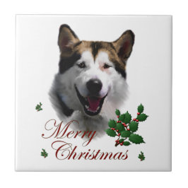 Alaska Malamute jul Kakelplatta