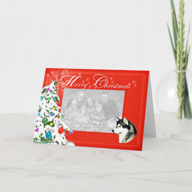Alaska Malamute-julfotokort Helgkort (Framsida)