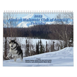 Alaska Malamute Klubb of America Calendar 2025 Kalender