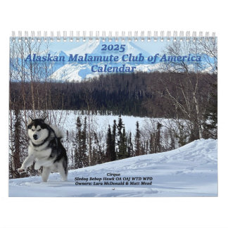 Alaska Malamute Klubb of America Calendar 2025 Kalender