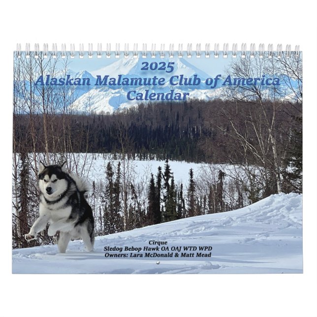 Alaska Malamute Klubb of America Calendar 2025 Kalender (Omslag)