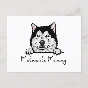 Alaska Malamute Mamma Vykort