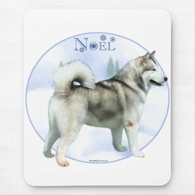 Alaska Malamute Noel Musmatta (Framsidan)