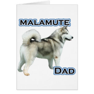 Alaska Malamute Pappa 4 Hälsningskort