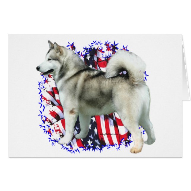 Alaska Malamute Patriot Hälsningskort (Framsidan Horizontal)