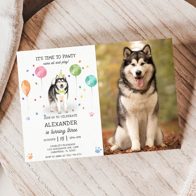 Alaska Malamute Pawty Puppy Birthday Rosa Photo Inbjudningar (Skapare uppladdad)