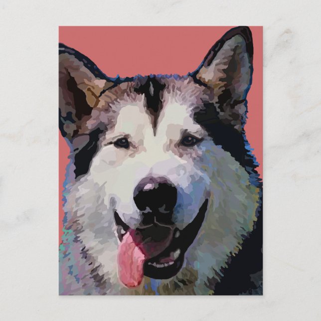 Alaska Malamute Postcard Vykort (Framsida)